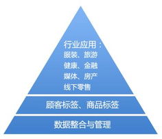 大數據 互聯網數據服務的核心引擎與未來圖景